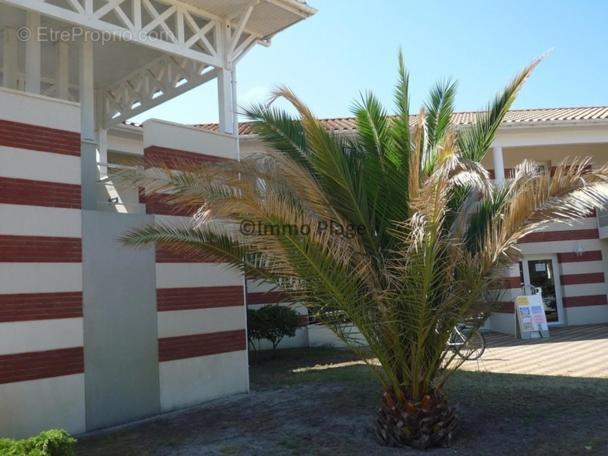 Soulac-Sur-Mer Avec Piscine Ngoại thất bức ảnh